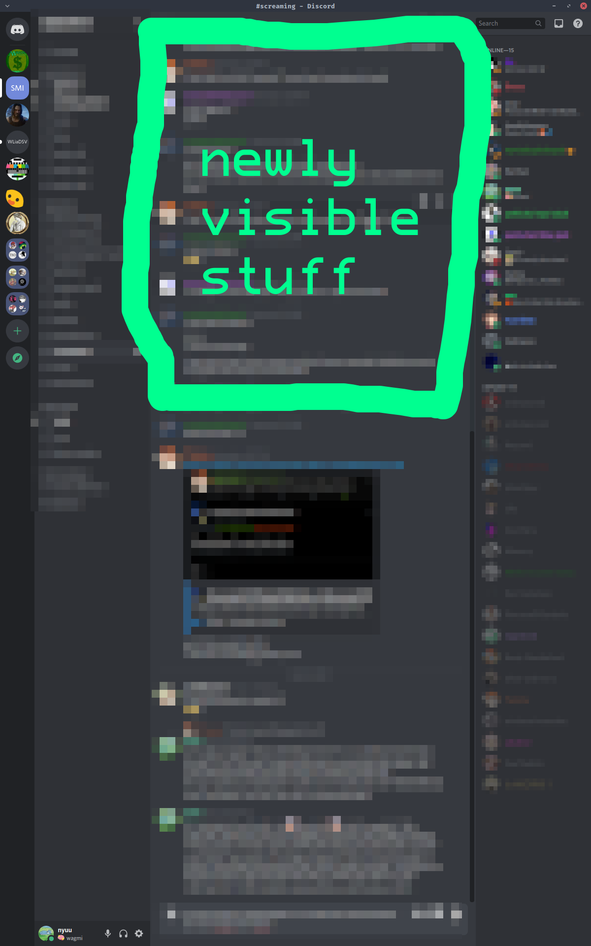 discord viewed in a vertical window